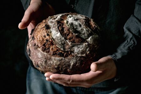 Man in black shirt holding in hands fresh baked artisan round homemade chocolate and cranberries rye bread.の写真素材