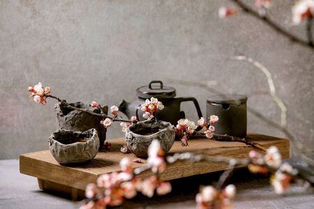 Tea drinking wabi sabi japanese style dark clay cups and teapot on wooden tea table with blooming cherry branches. Grey texture concrete background.の写真素材