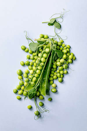 Heap of young sweet organic green pea in pods with sprouts over grey background. Flat lay, copy spaceの写真素材