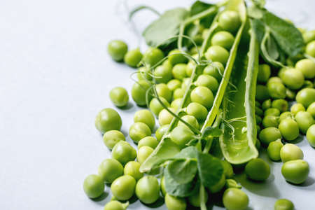 Heap of young sweet organic green pea in pods with sprouts over grey background. Close up, copy spaceの写真素材