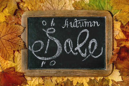 Autumn sale concept. Vintage chalkboard with hand written lettering Sale over variety of colorful autumn leaves. Flat lay.の写真素材