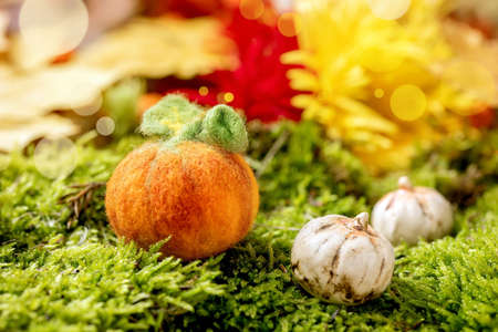 Wool needle felting Halloween pumpkin on moss with autumnal background. Fall seasonal Halloween greetingの写真素材