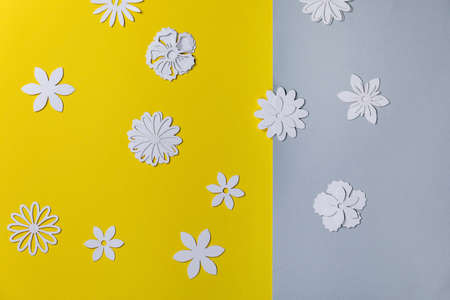 Creative layout with variety of white paper flowers over yellow and gray background. Flat lay, copy space. Colors of the year 2021の写真素材