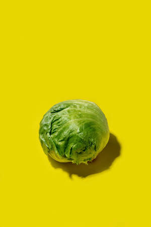 Fresh Iceberg lettuce salad shadows on a bright solid yellow background. Tropical style, Healthy...