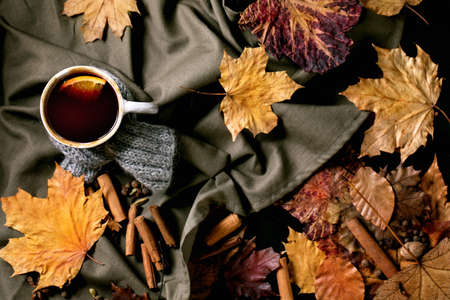 Hot mulled wine in ceramic mug in scarf with spices, orange and autumn leavesの写真素材