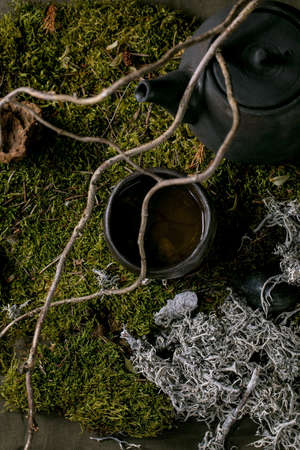 Craft handmade ceramic teapot kettle and wabi-sabi cup of hot green tea standing on moss with dry branch and leaves.の写真素材