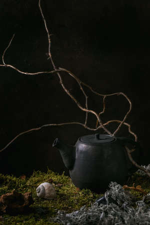 Craft handmade ceramic teapot kettle standing on moss with dry branch and leaves.の写真素材