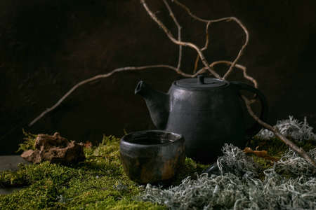 Craft handmade ceramic teapot kettle and wabi-sabi cup of hot green tea standing on moss with dry branch and leaves.の写真素材