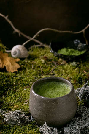 Traditional japanese hot green frothy tea matcha in ceramic cup standing on forest moss. Healthy natural drinkの写真素材