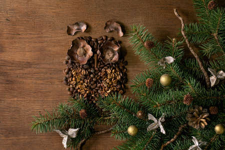 Owl shape from coffee beans and spices. Owl sit on fir Christmas tree branch with natural decor over wooden background. Funny mystery xmas coffee concept. Copy space. Greeting cardの写真素材