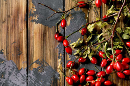 Rose hip berries with branch and leaves on old wooden plank background. Autumn reserves of vitamins for the winter. Flat lay, copy spaceの写真素材