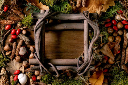 Wooden frame with ambience magic autumnal forest background. Autumn leaves, moss, fir cones, snail shell, mushrooms over wooden surface. Creative alyout. Frame of plantsの写真素材