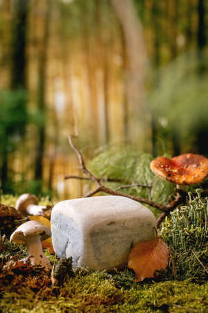Fairy tale ambiance magical autumn forest background. Cube stone as display podium for natural eco...