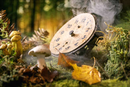 Fairy tale ambiance magical autumn forest background. Old clock face gears on autumn leaves, moss, wild mushrooms in fog. Lost time conceptの写真素材
