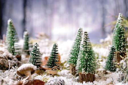 Christmas or New Year greeting card with group of decorative Christmas trees on snow covered moss with winter forest at background. Xmas holidays atmosphereの写真素材