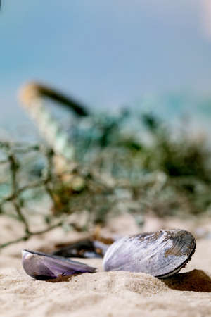 Old fishing nets and mussel shells on summer sand sea beach with waves at background. Copy space