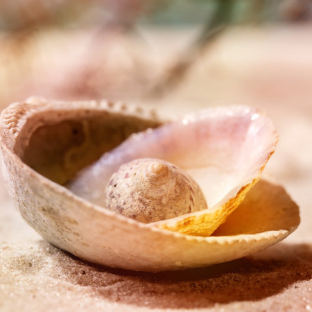Stack of seashells on summer sand sea beach. Copy space creative layout. Vacation concept. Colorful rainbow lens, close up. Square imageの写真素材