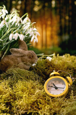 Easter greeting. Yellow alarm clock and bunny rabbit on moss in spring forest, beautiful blossom white snowdrops flowers in wild forest at background. Time for Easter springtime concept. Ten oclockの写真素材