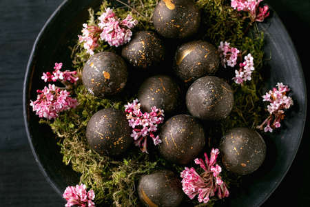 Black Easter concept. Bio colored black eggs with golden spots laying on wild moss with small pink...