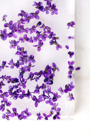 Flower ice for cocktails cold drinks. Violets flower in transparent block of ice. Close up, top viewの写真素材