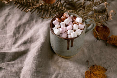 Mug of hot spicy homemade chocolate with pink marshmallow on linen tablecloth with dry autumn leaves around. Seasonal beverage. Warm cozy drink.の写真素材