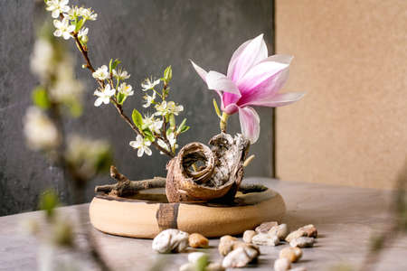 Spring ikebana. Floral composition with spring blooming magnolia and plum branch flowers in brown ceramic bowl, bark and stones around, standing on grey table. Japanese style home decor. Copy spaceの写真素材