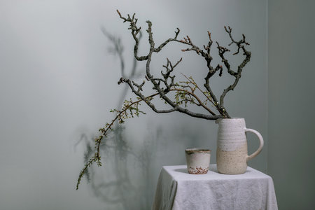 Minimalist still life with dry twisted branches arranged in handmade ceramic pitcher. Small pottery cup sits alongside on white linen tablecloth against pale gray wall with dramatic branch shadows.の写真素材