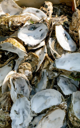 European street food festival. Box filled empty oyster shells discarded after consumption. Evidence popular seafood delicacy outdoor gourmet market setting reflects sustainable wasteの写真素材