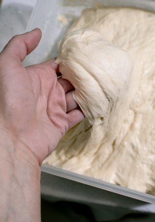 Close up woman hand kneading raw bread dough in plastic container. Homemade baking process. Elastic yeast dough preparation for baking.の写真素材