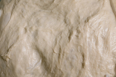 Close up homemade yeast dough texture. Raw bread dough ready for baking. Smooth white flour mixture surface macro shot.の写真素材