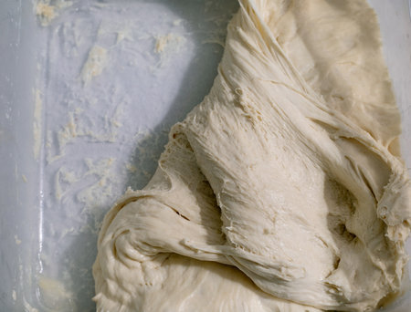 Fresh yeast dough close up. Homemade bread preparation process. Raw bread dough texture elastic structure of rising dough.の写真素材