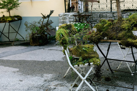 Abandoned garden furniture overtaken by moss and plants in courtyard. White folding chairs and tables with green moss growth creating atmospheric abandoned garden scene against stone wall background.の写真素材