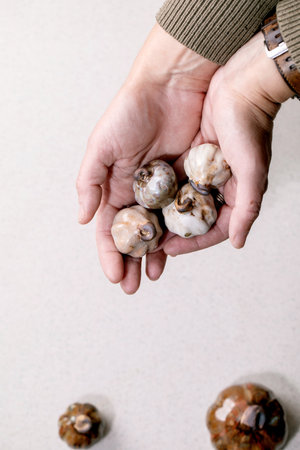 Close up hand holding handmade ceramic decorative pumpkins. Brown and gray glazed clay art objects resembling vegetables. Artisan pottery pieces against neutral background, autumn home decorの写真素材