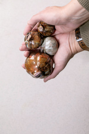 Close up hand holding handmade ceramic decorative pumpkins. Brown and gray glazed clay art objects resembling vegetables. Artisan pottery pieces against neutral background, autumn home decorの写真素材