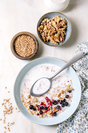 sprouted wheat breakfast bowl with walnuts berries wheat grains. White ceramic bowl with spoon ingredients in small bowls on marble surface floral napkin.の写真素材