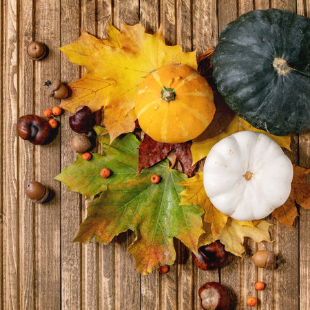 Variety of red and yellow autumn leaves with pumpkins and chestnuts, over wooden plank background. Flat lay. Fall creative background.の写真素材