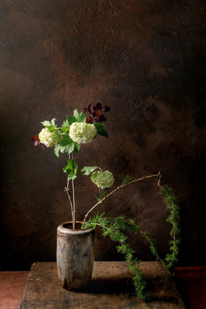 Artistic still life with ikebana white hydrangea flowers and pine branches in rustic ceramic vase against textured dark brown background. Natural composition on wooden table.の写真素材