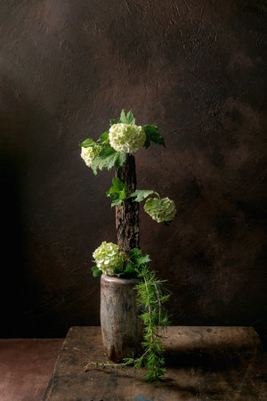 Creative floral composition ikebana white hydrangea flowers on tree bark piece in ceramic vase dark brown textured background moody artistic still lifeの写真素材