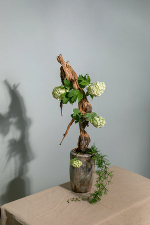 Artistic ikebana composition with driftwood, white flowers, and green leaves in a ceramic vase on a beige table against a gray wall with shadowの写真素材