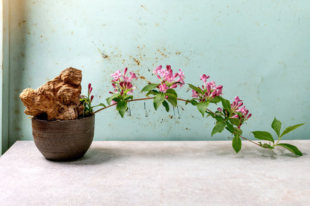 Artistic still life with driftwood piece in ceramic pot alongside pink flowering branch against weathered turquoise wall. Minimalist flower composition ikebana.の写真素材