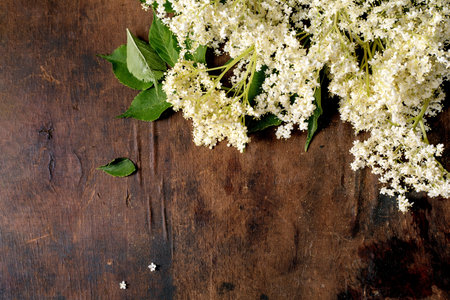 White elderflower clusters with green leaves arranged on aged wooden surface natural herbal ingredient for cooking and medicineの写真素材