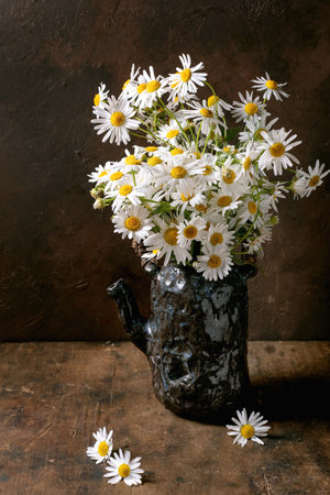Fresh white daisies arranged in dark ceramic vase on wooden surface with scattered petals rustic home decor styleの写真素材