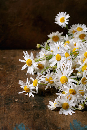 Fresh white daisies with yellow centers scattered on rustic wooden background. Natural flower arrangement with delicate petals and stems.の写真素材