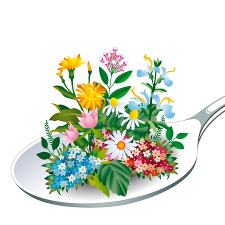 Herb - Spoon of healthのイラスト素材