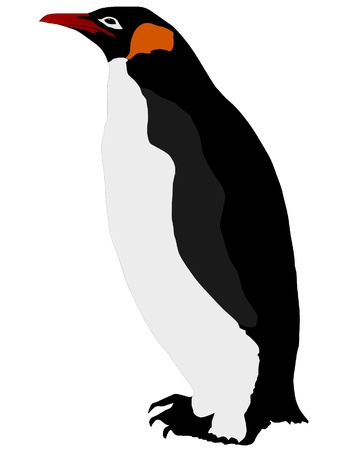 Emperor penguinのイラスト素材