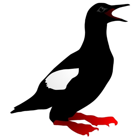 vector drawing Tystiek on a white backgroundのイラスト素材