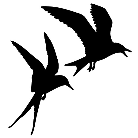 Terrick vector drawing on a white backgroundのイラスト素材