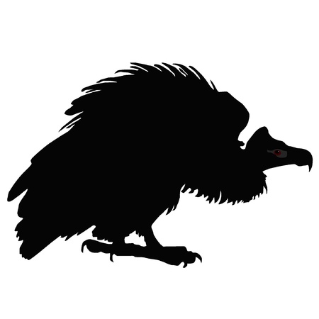 Vector illustration of black vulture on a white backgroundのイラスト素材