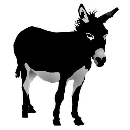 vectors donkeyのイラスト素材