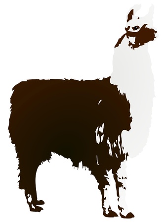 Vector image Llamaのイラスト素材